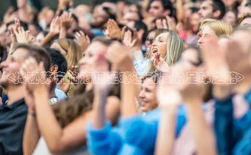 欧陆娱乐app下载阿里尔公司<揭秘苏宁临海籍足球运动员的足球之路>