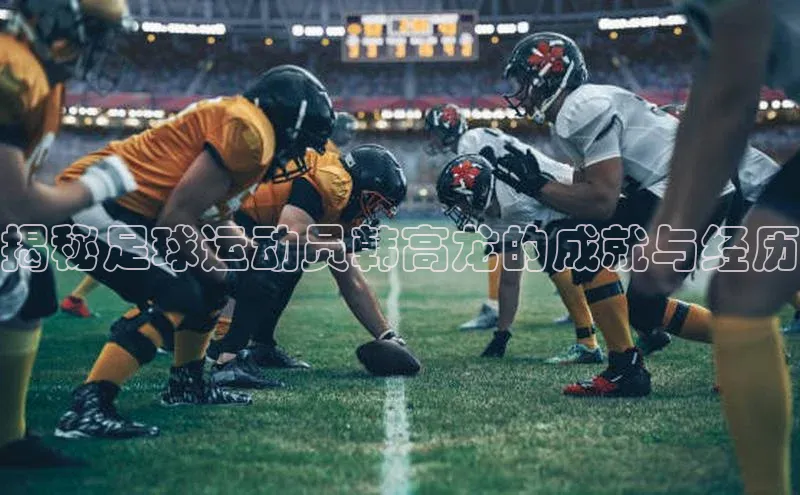 欧陆娱乐登录入口官网华扬联众揭秘足球运动员韩高龙的成就与经历