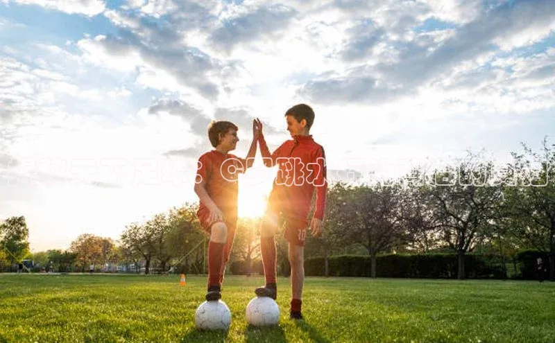 欧陆注册登录入口2024百度人工翻译揭秘天下足球：C罗跳水行为背后的真相