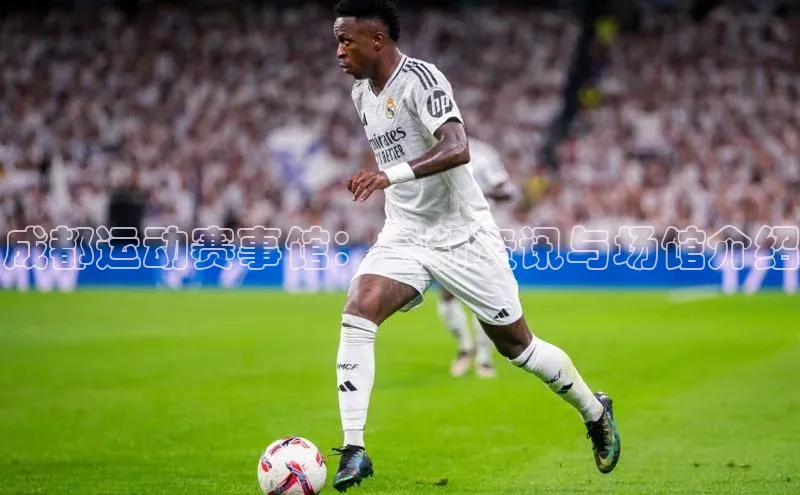 欧陆娱乐App下载链接百家号成都运动赛事馆：最新资讯与场馆介绍