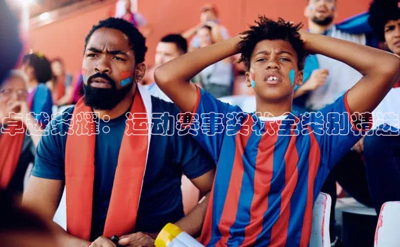 欧陆娱乐app下载阿里尔公司卓越荣耀：运动赛事奖状全类别精选