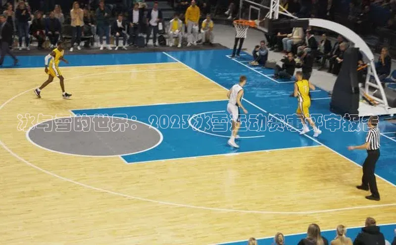 欧陆娱乐app下载安装路畅科技冰与雪的世界：2023冰雪运动赛事评审报告