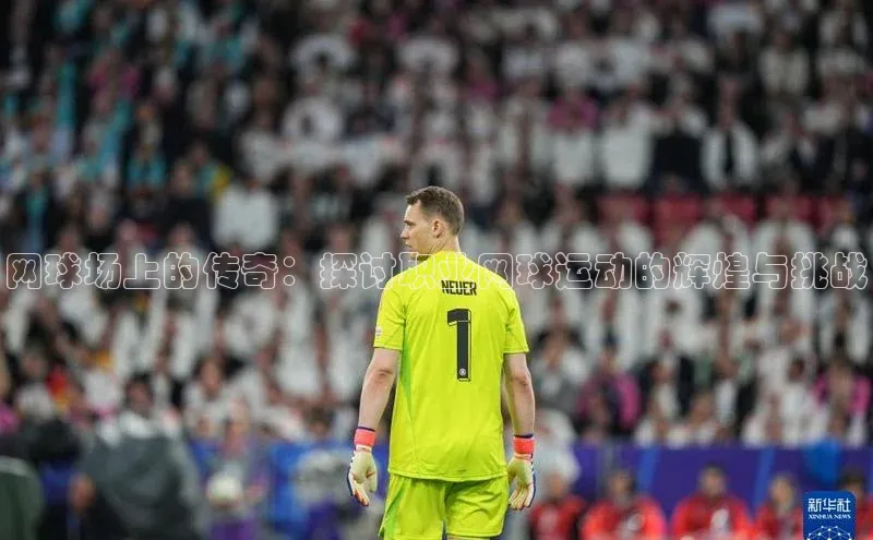 欧陆娱乐视觉中国网球场上的传奇：探讨职业网球运动的辉煌与挑战