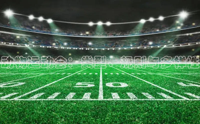 动物运动会：类型、规则与多样性