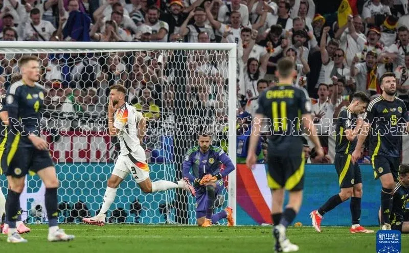 犬竞技：和提升你的宠物狗的运动技能竞赛体验