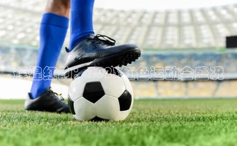 辉煌红韵：2023红色运动会盛况