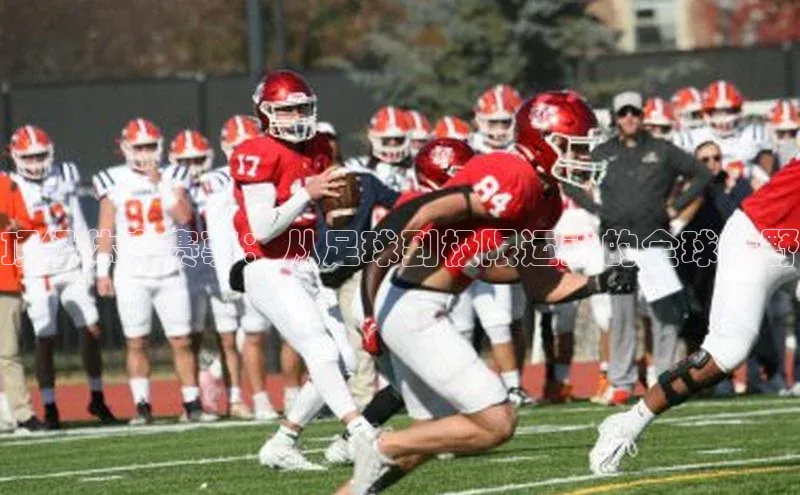 顶级体育赛事：从足球到极限运动的全球视野