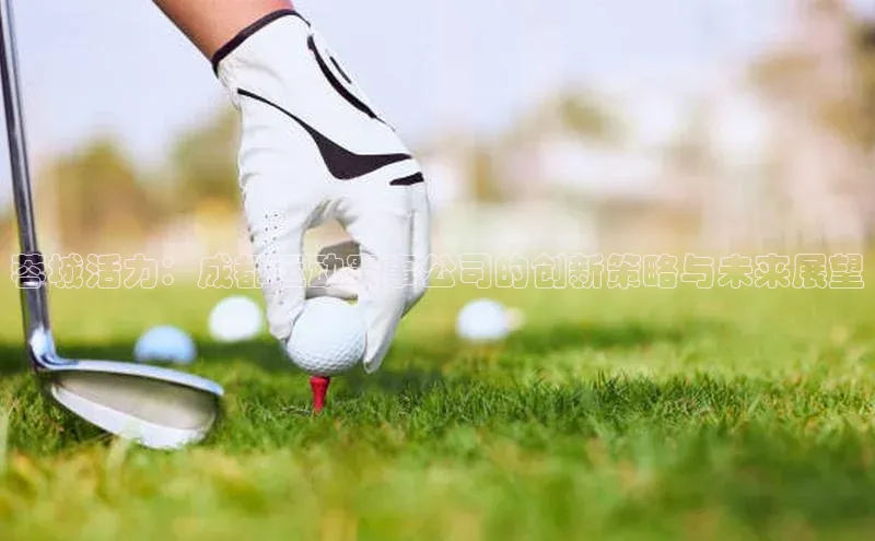 蓉城活力：成都运动赛事公司的创新策略与未来展望