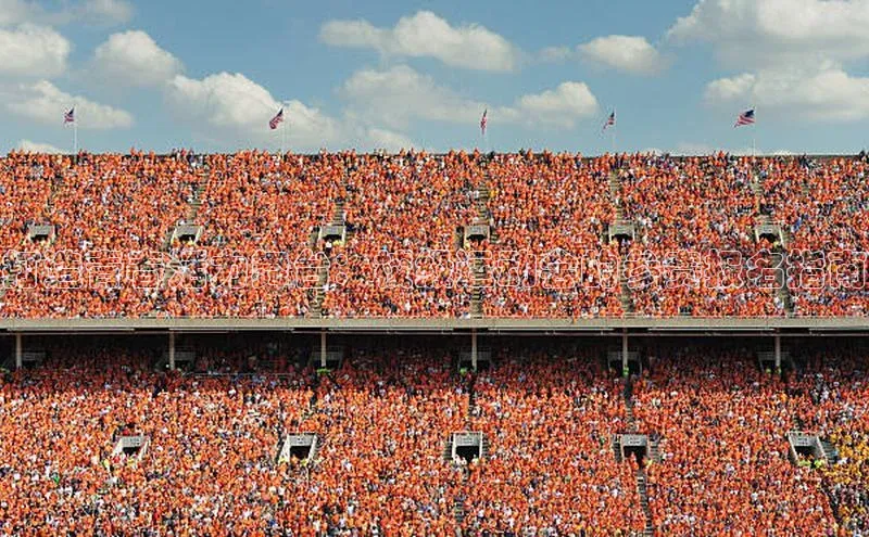 打造青春活力舞台：校级运动会的参赛报名指南