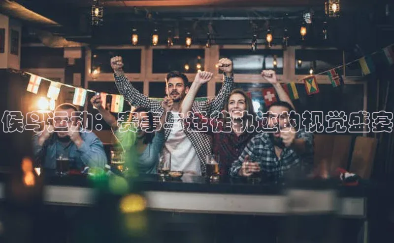 候鸟运动：赛事与迁徙轨迹的视觉盛宴