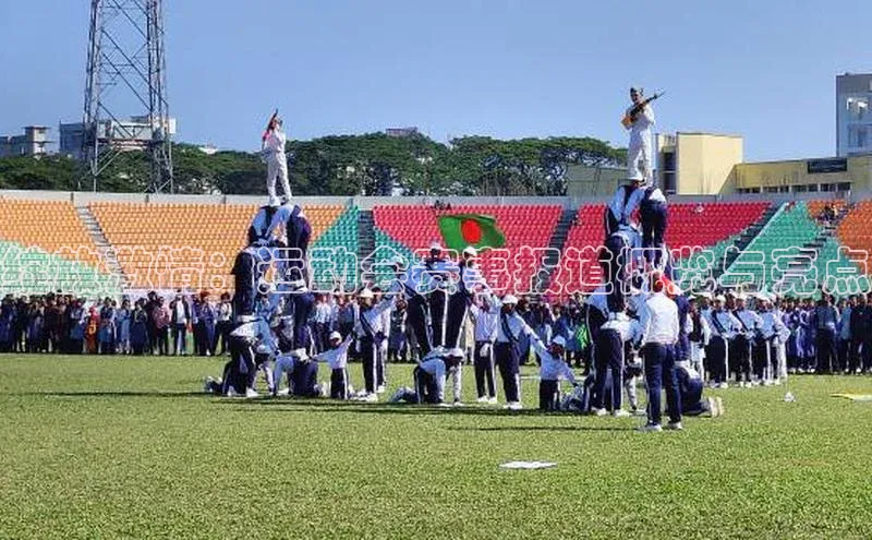 绽放激情：运动会赛事报道概览与亮点