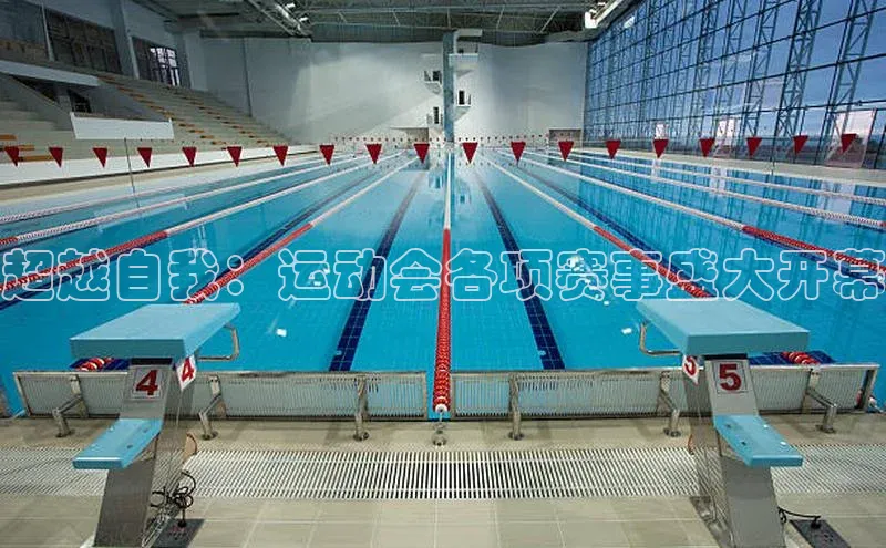 超越自我：运动会各项赛事盛大开幕