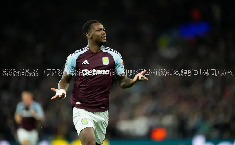 棋缘甘肃：与交流的桥梁——甘肃围棋运动协会赛事回顾与展望