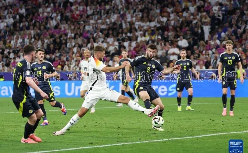 飞跃湘江：2023湖南省运动会精彩回顾与展望