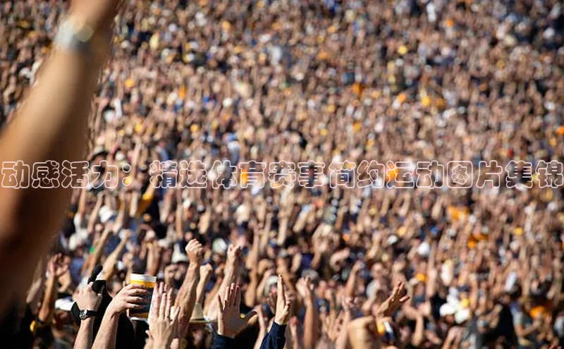 动感活力：精选体育赛事简约运动图片集锦