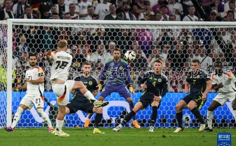 如何成功报名参与重大运动赛事：策略与实践指南