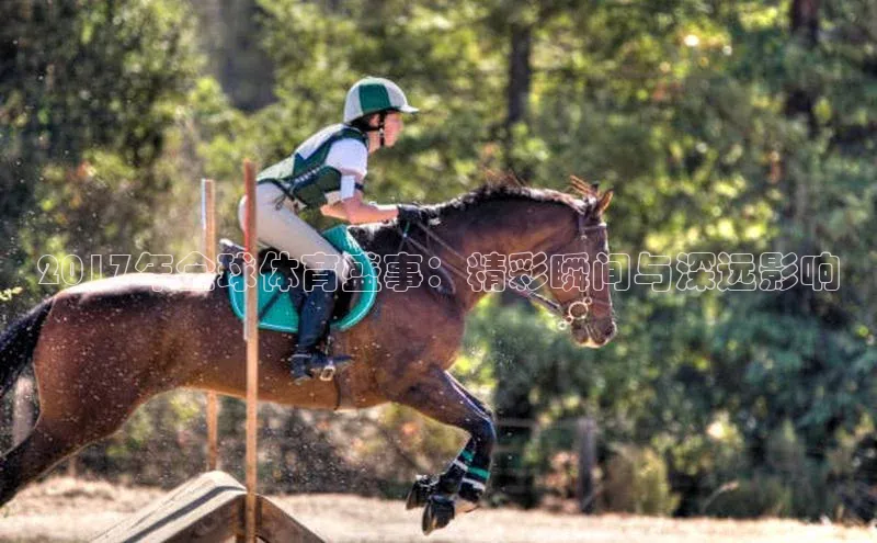 2017年全球体育盛事：精彩瞬间与深远影响