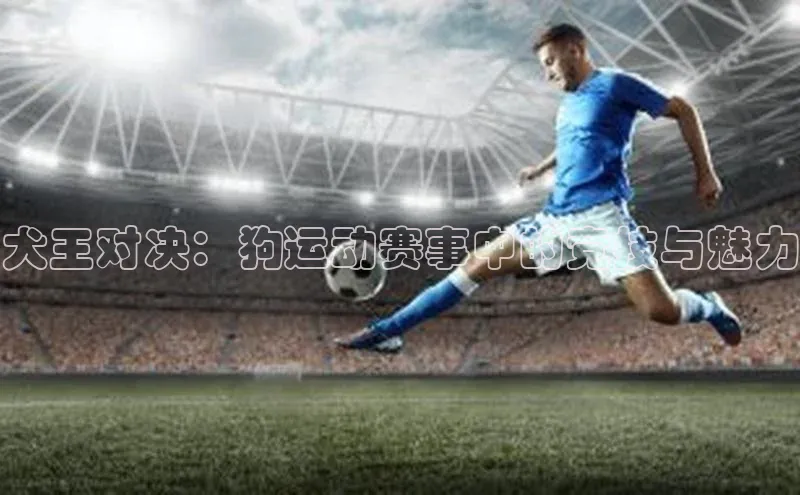 犬王对决：狗运动赛事中的竞技与魅力