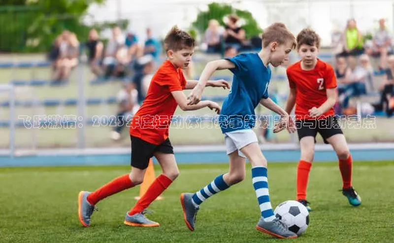 飞跃激情：2023年度运动体育赛事策划策略与创新亮点